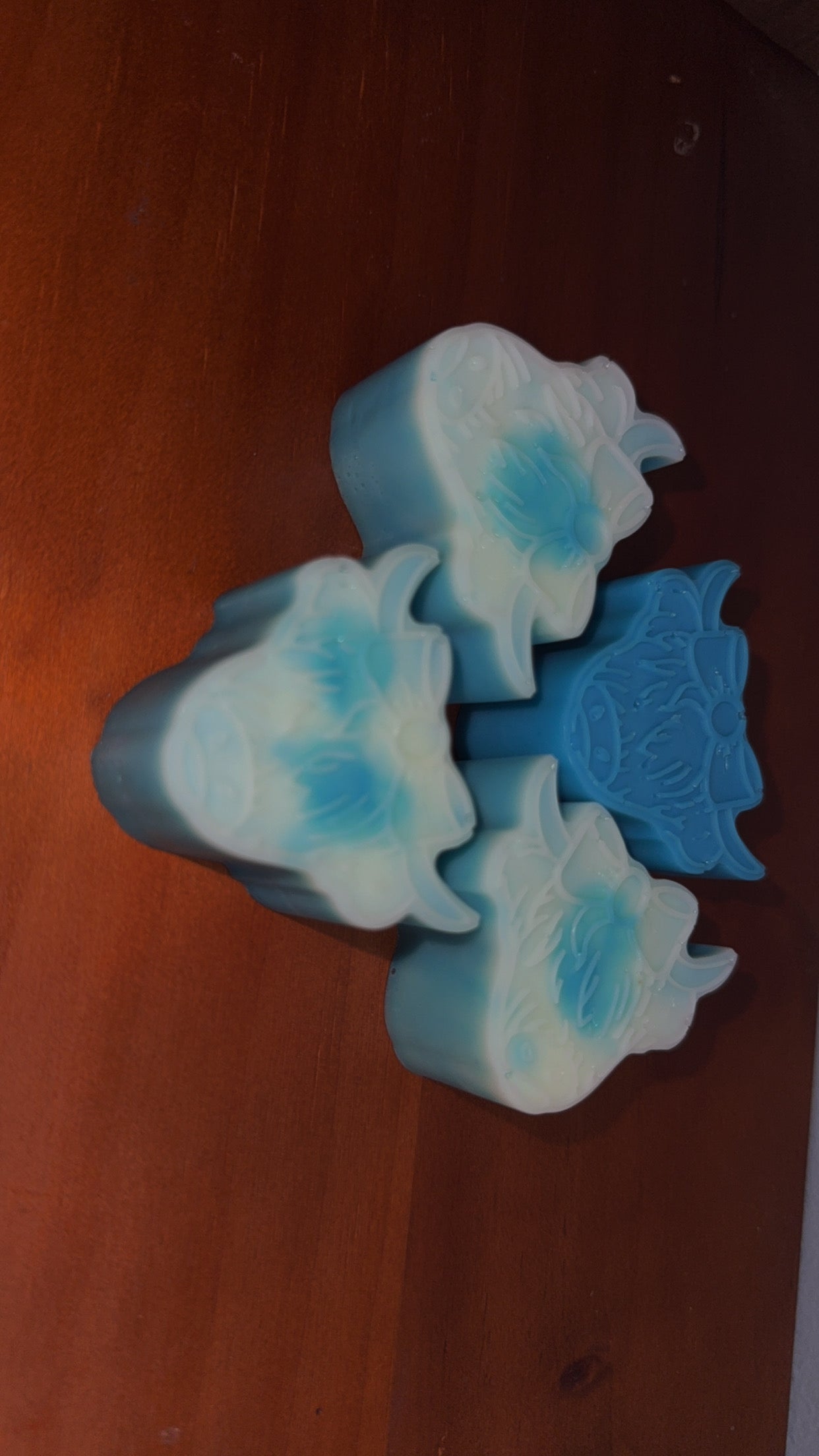 Mini Cow Samples