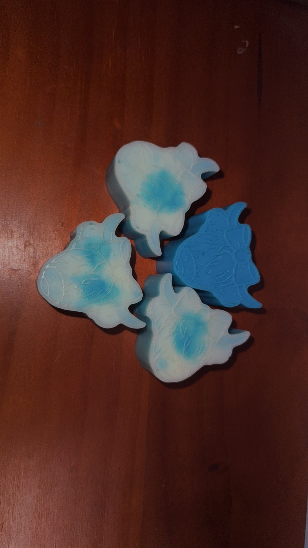 Mini Cow Samples